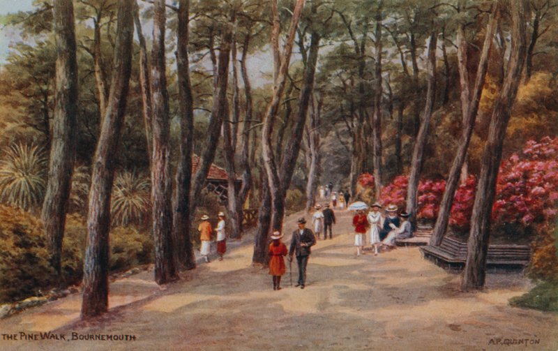The Pine Walk, Bournemouth  by Alfred Robert Quinton