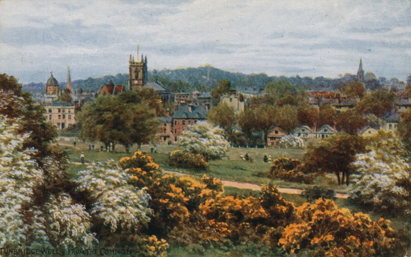 The Common