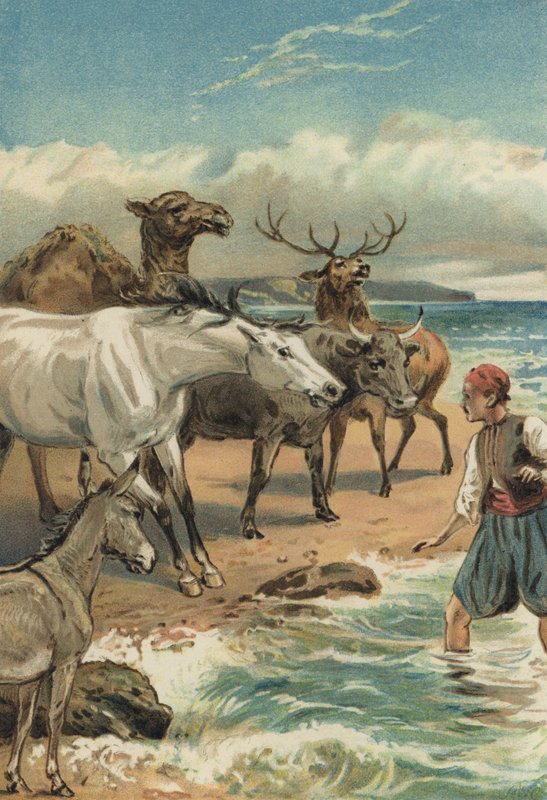 PD.1-1994 Bir fincan kahve ile oturan kadın, 1893 (karton üzerinde distemper) by Alfred W. Cooper