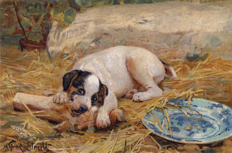 by Alfred William Strutt