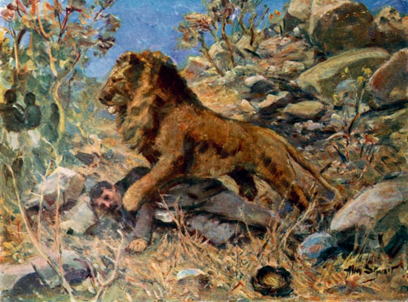 David Livingstone, Livingstone ve aslan (renkli taş) by Allan (after) Stewart
