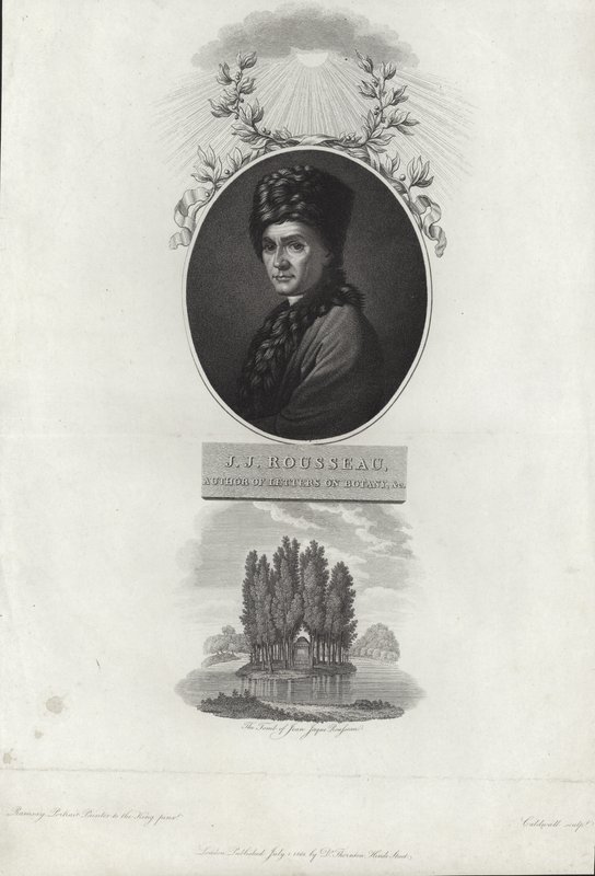 Jean Jacques Rousseau by Allan Ramsay
