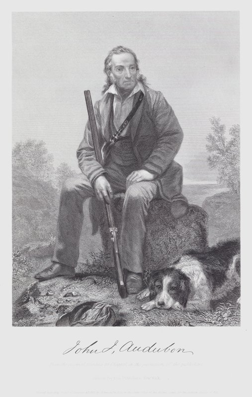 John James Audubon (gravür) by Alonzo (after) Chappel