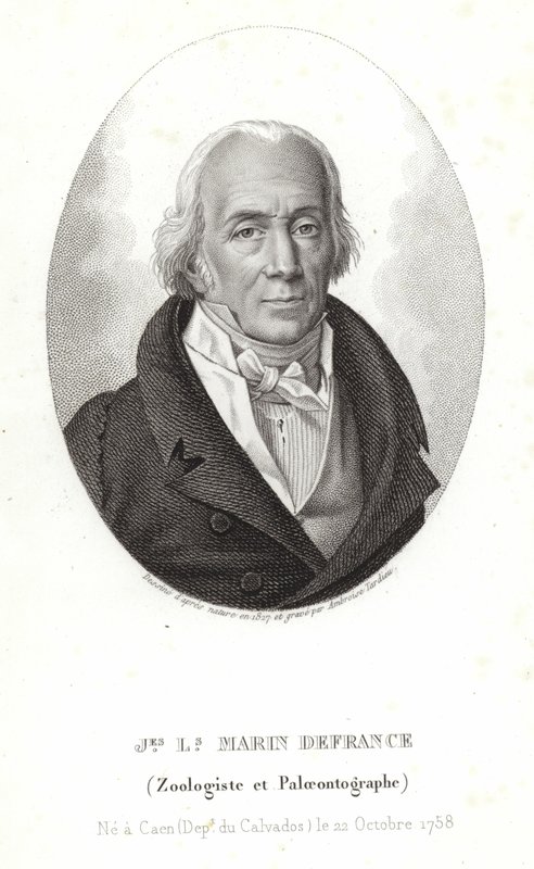 Fransa'dan Jacques-Louis Marin by Ambroise Tardieu