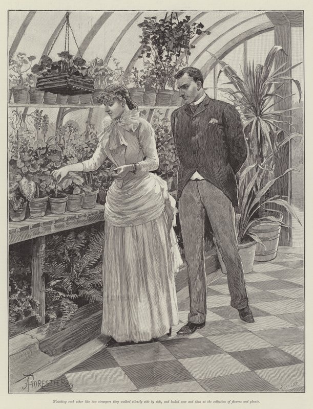 Kör Aşk, Wilkie Collins by Amedee Forestier