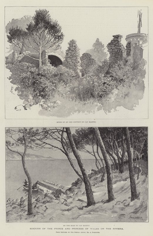 Galler Prensi ve Prensesi