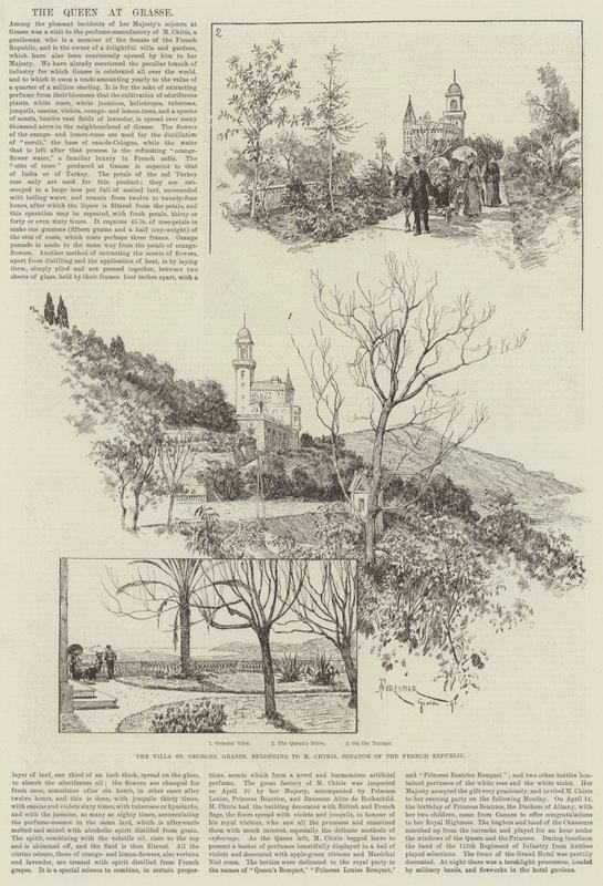 Grasse'deki Kraliçe by Amedee Forestier