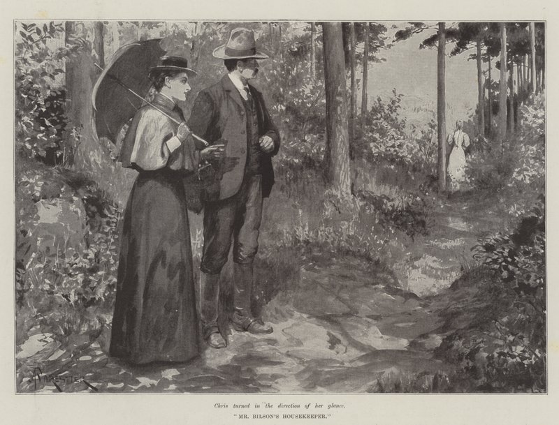 Bay Bilson'ın Kahyası, Bret Harte by Amedee Forestier