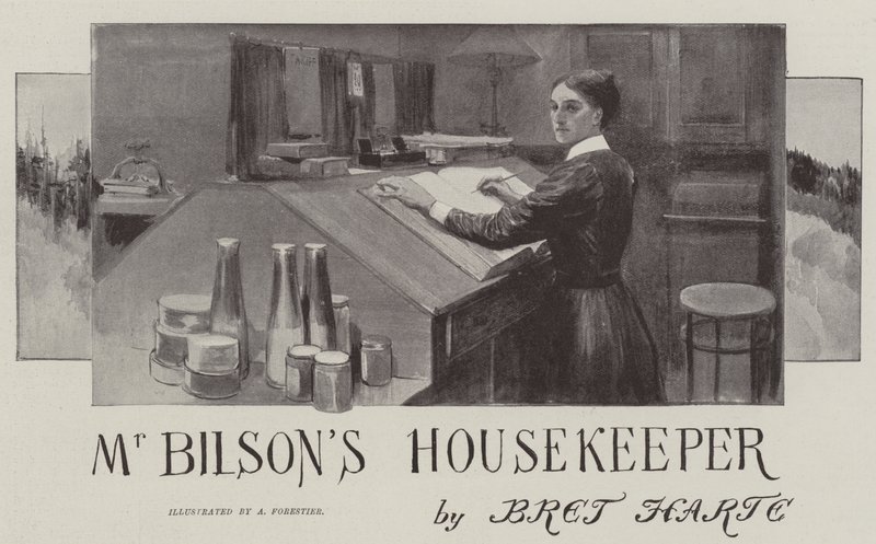 Bay Bilson