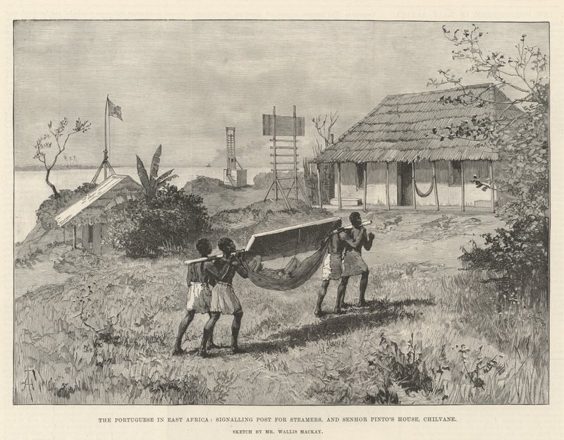 Doğu Afrika
