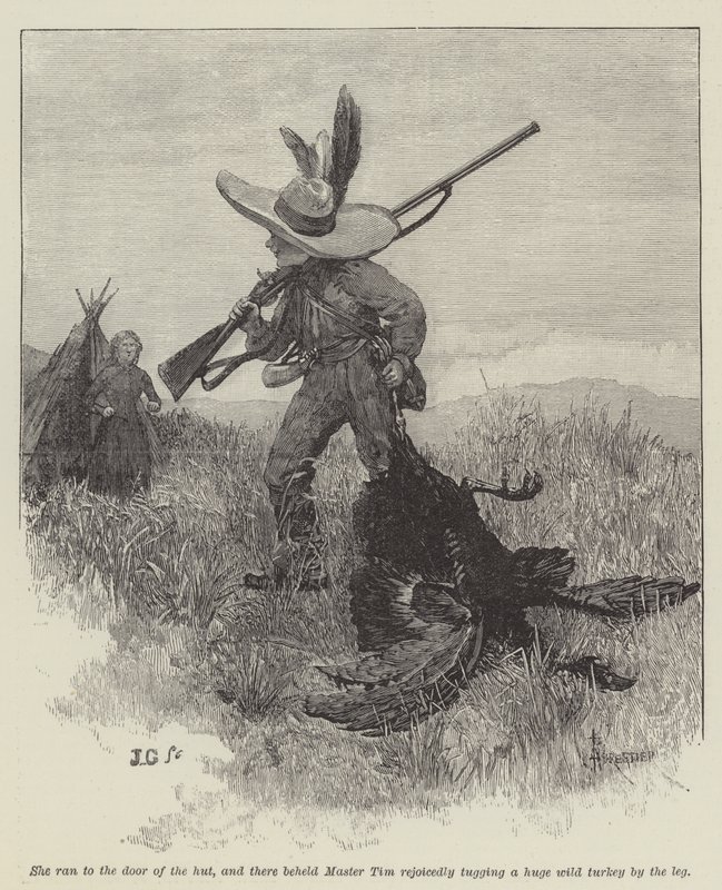 Wild Darrie, by Christie Murray and H Herman  by Amedee Forestier