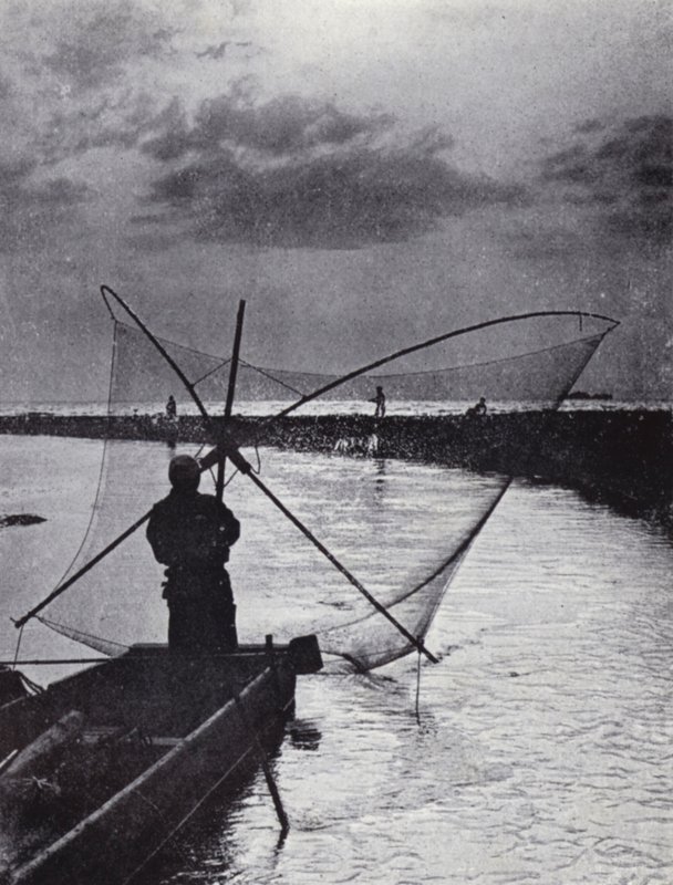 Ağını çeken bir Japon balıkçı (s/b fotoğraf) by American Photographer (after)