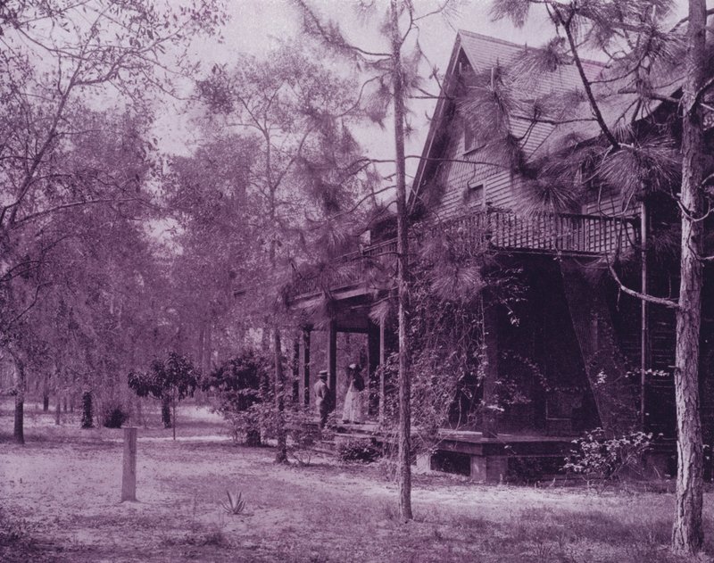 Florida, Southern Pines gölgesinde bir ev (s/b fotoğraf) by American Photographer (after)