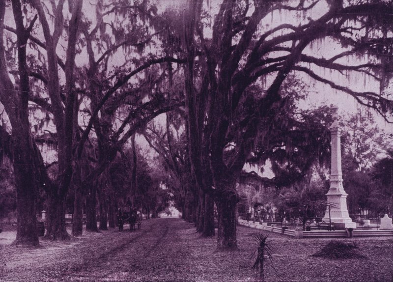 Bonaventure Mezarlığı, Savannah, Georgia (s/b fotoğraf) by American Photographer (after)