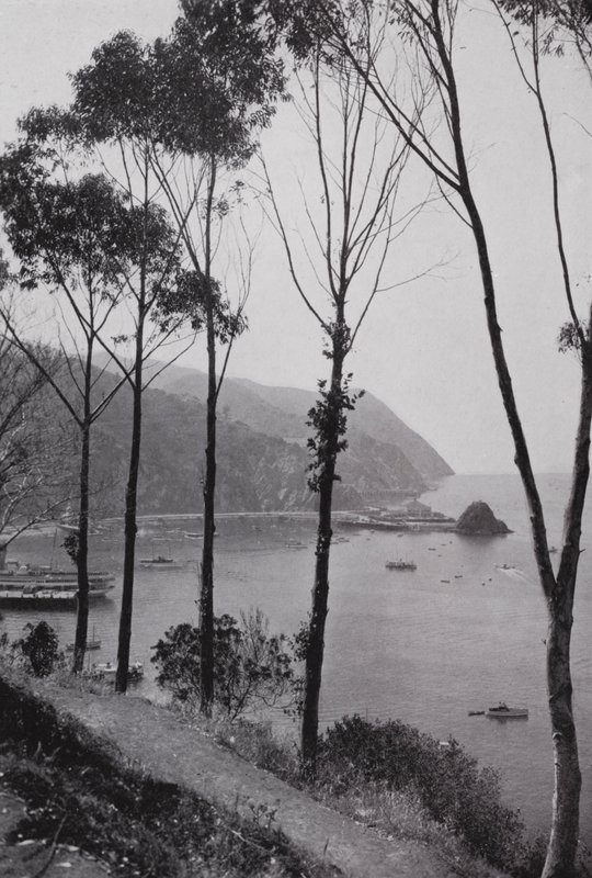 Kaliforniya: Avalon Körfezi, Santa Catalina Adası, Güney Kaliforniya anakarasından 30 mil uzakta Pasifik Okyanusunda sihirli oyun alanı (s/b fotoğraf) by American Photographer (after)