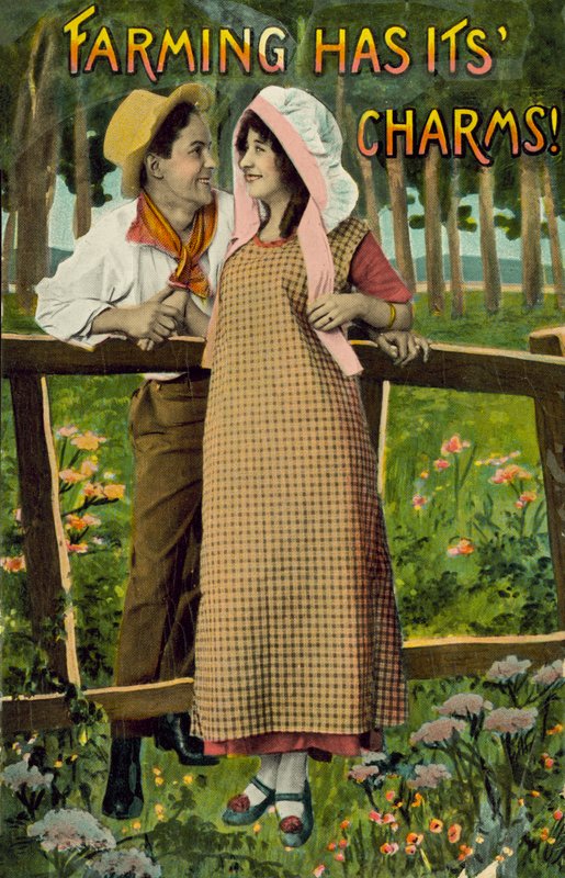 Çiftçiliğin cazibesi vardır (renkli fotoğraf) by American Photographer (after)