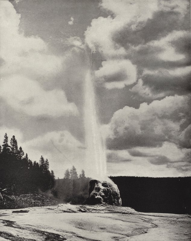 Lone Star Gayzer, Yellowstone, Wyoming (s/b fotoğraf) by American Photographer (after)