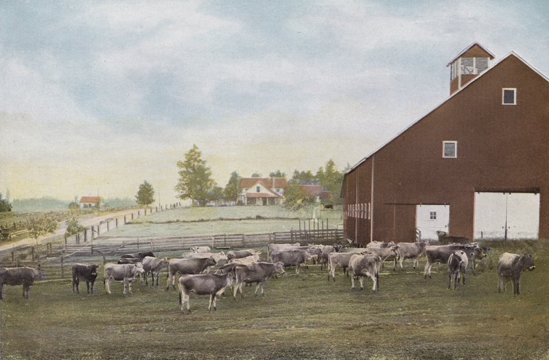 Oregon: Willamette Vadisi
