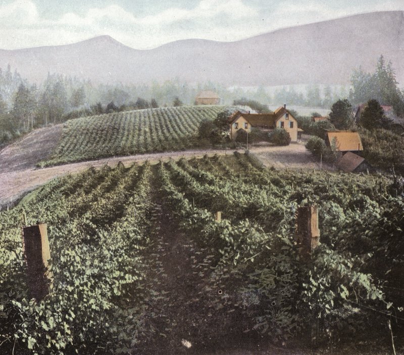 Oregon: Willamette Vadisi