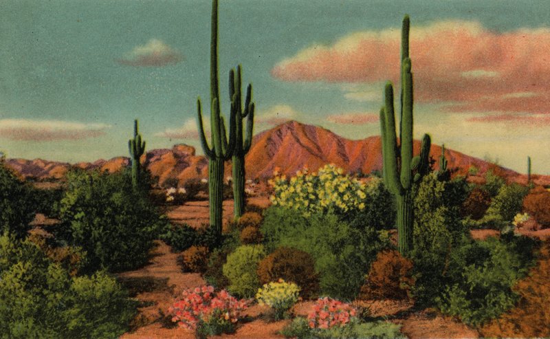 Phoenix, Arizona: Camelback Dağı ve Çöl (fotoğraf) by American Photographer (after)