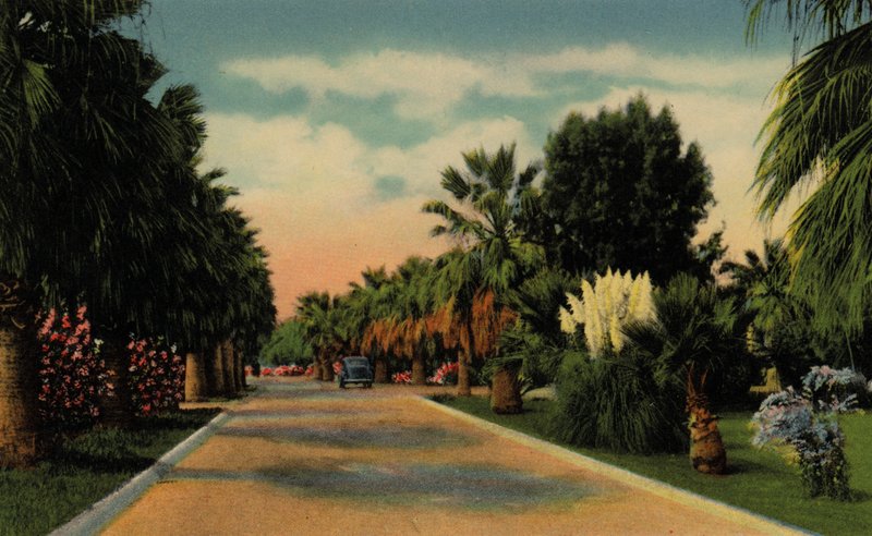 Phoenix, Arizona: Country Club Park (fotoğraf) by American Photographer (after)