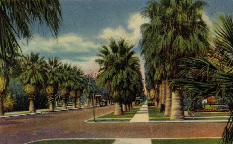 Phoenix, Arizona: Kuzey Merkez Caddesi (fotoğraf) by American Photographer (after)