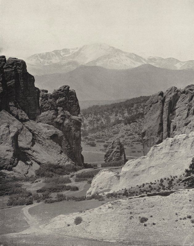Tanrıların Bahçesinden Pike