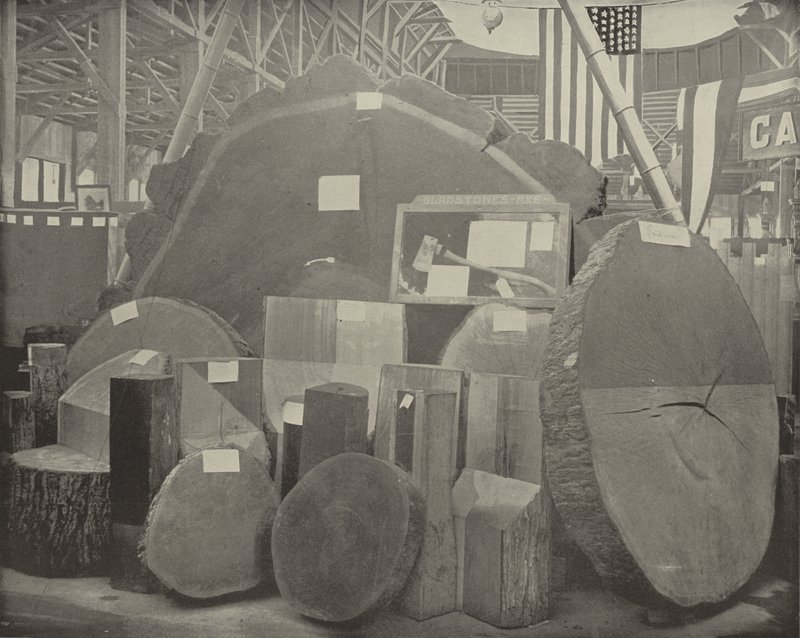 Gladstone Baltası by American Photographer