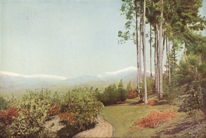 Eski Baldy, Smiley Heights, California