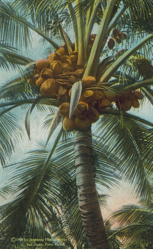  by American Photographer