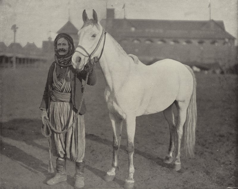 Bedeviler Ödül Atı by American Photographer