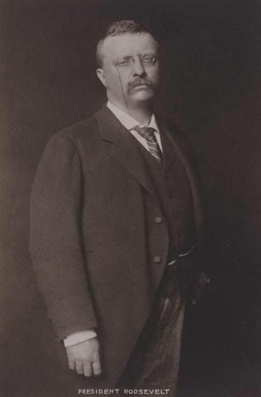 Theodore Roosevelt, Amerika Birleşik Devletleri