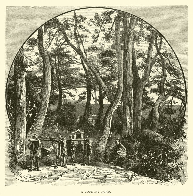 Köy yolu by American School