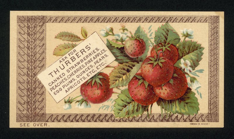 Thurbers konserve meyve reklamı by American School