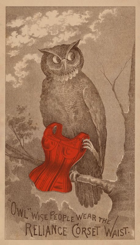  by American School