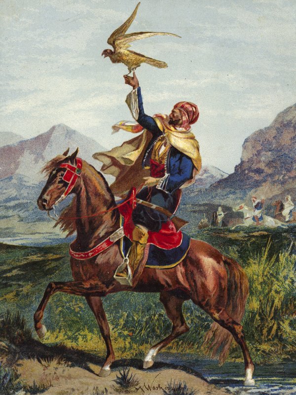 Arap atlı, şahin ile by American School
