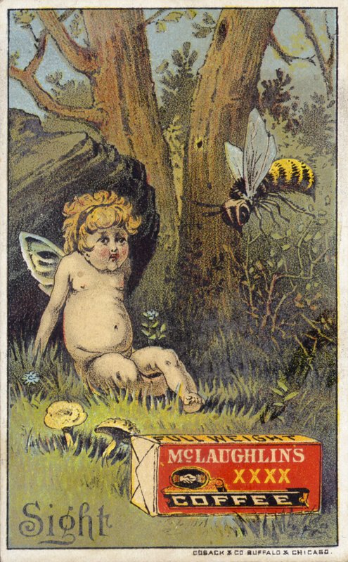Arı saldıran putto by American School