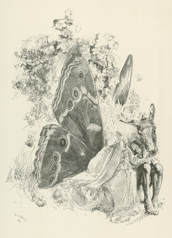 by American School