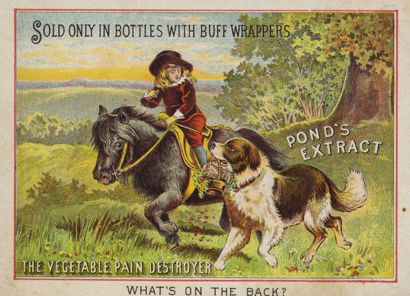 Köpeğiyle midilliye binen çocuk by American School