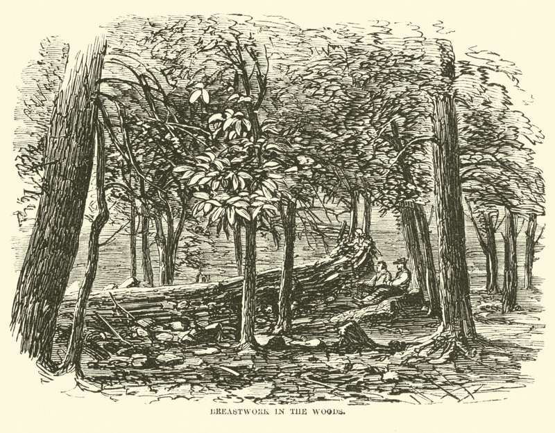 Ormanda göğüs kafesi, Temmuz 1863 by American School