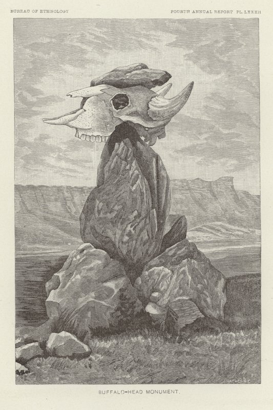 Bufalo Başı Anıtı by American School