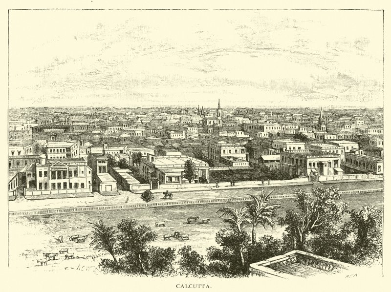 Kalküta by American School