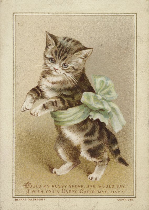 Yeşil Fiyonklu Kedi by American School