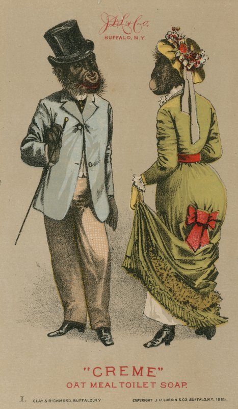 Şık giysiler içinde şempanzeler by American School