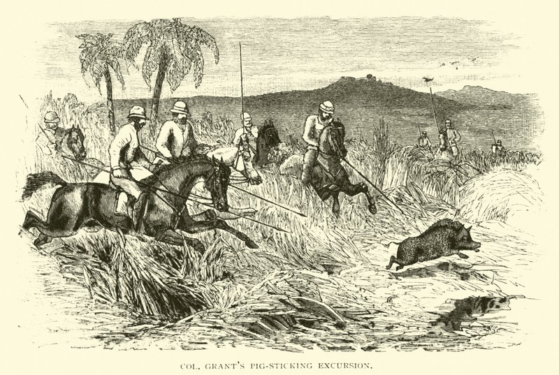 Albay Grants domuz yapıştırma gezisi by American School