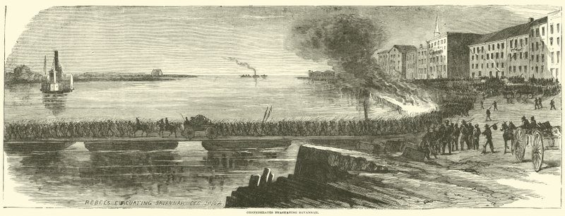 Savannah