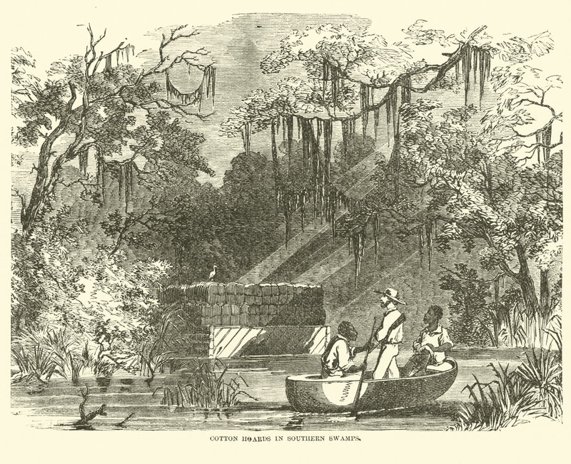 Güney Bataklıklarındaki pamuk yığınları, Temmuz 1862 by American School