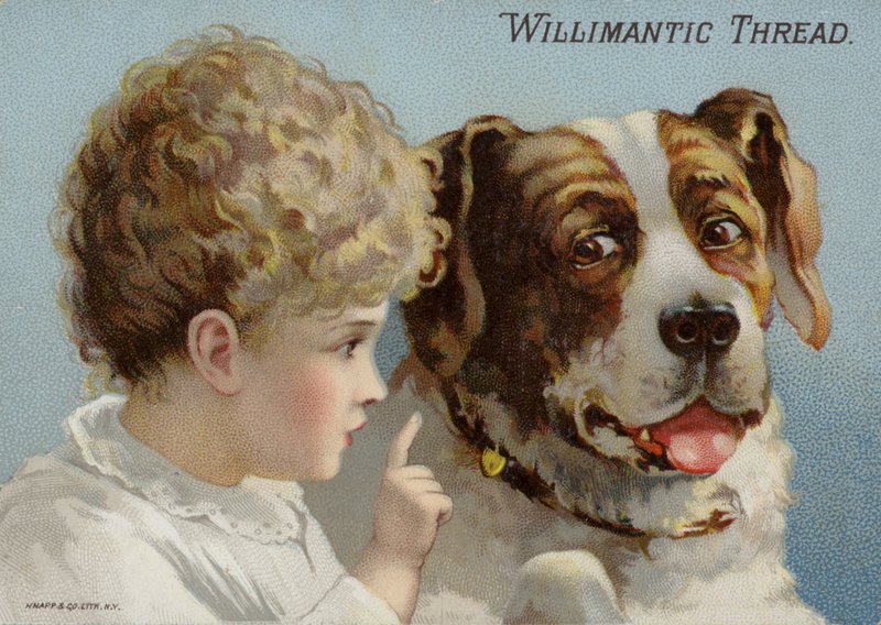 Köpek ve genç çocuk by American School