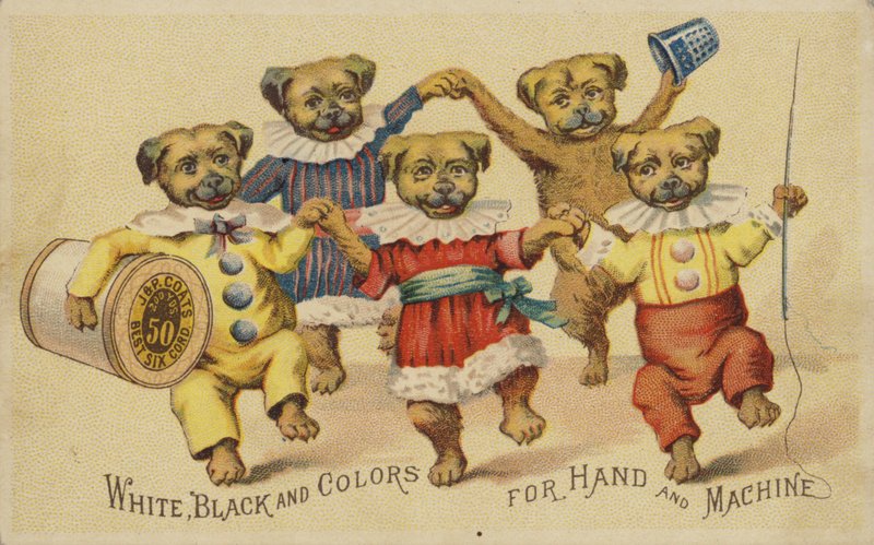 Giysilerle dans eden köpek by American School