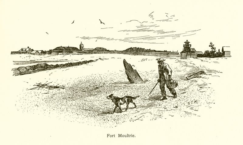 Moultrie Kalesi by American School